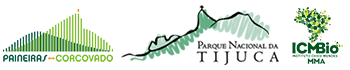 Paineiras Corcovado